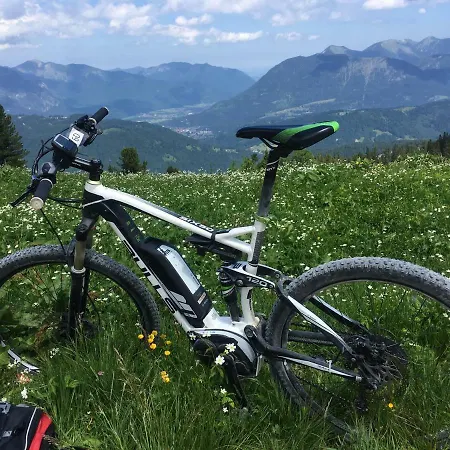 Alpenfreund * Mittenwald