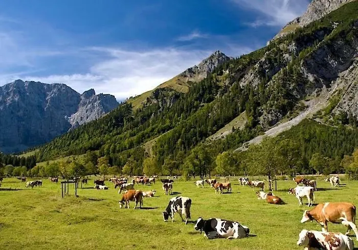 Alpenfreund Appartamento Mittenwald