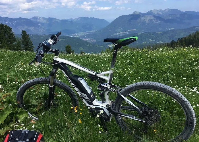 Alpenfreund * Mittenwald