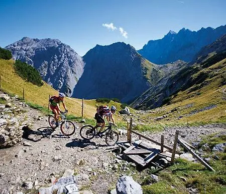 Alpenfreund
