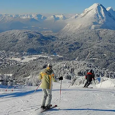 Alpenfreund