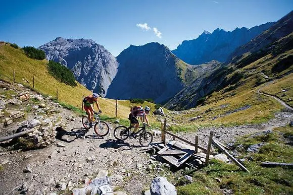 Alpenfreund