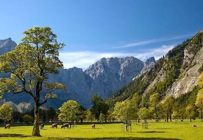 Alpenfreund Lejlighed